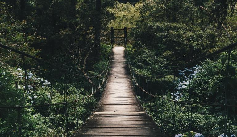 Brücke durch einen Wald